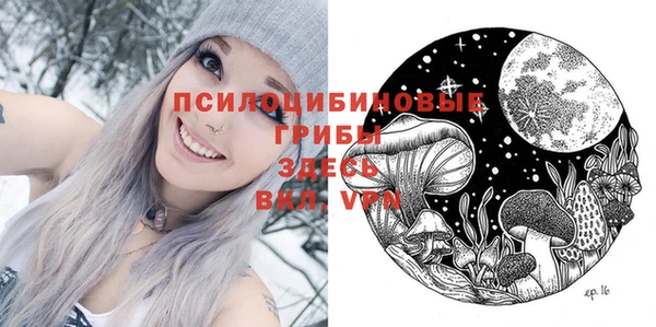 твердый Алексин