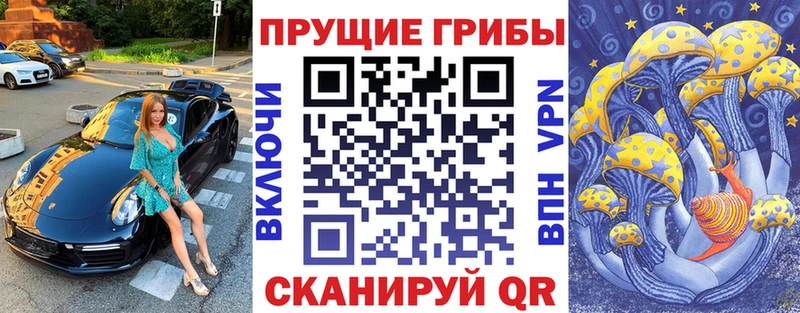 Псилоцибиновые грибы Cubensis  Большой Камень 
