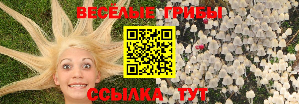Галлюциногенные грибы GOLDEN TEACHER Большой Камень