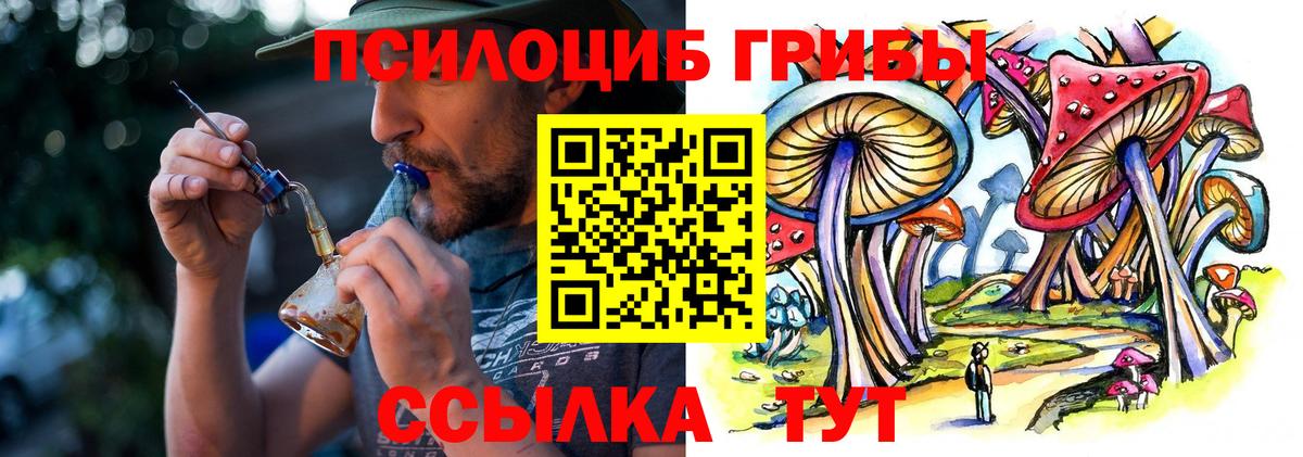 Галлюциногенные грибы мицелий  Вход с VPN  Большой Камень 